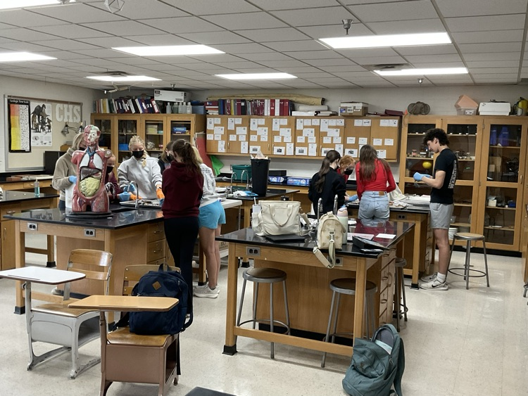 Anatomy dissection day.  