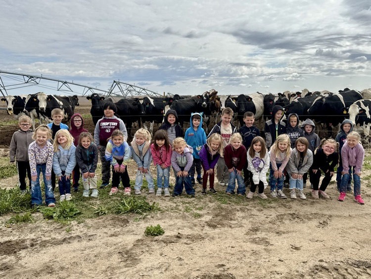 Kindergarten class at Burbach Dairy checking out the cows 
