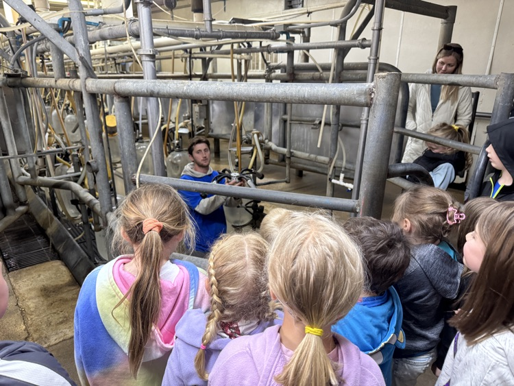 Kindergarteners taking a tour of Burbach Dairy 