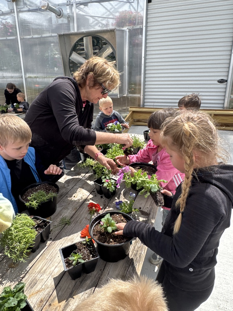 Kindergarteners planting their own containers at Diane’s Greenhouse 