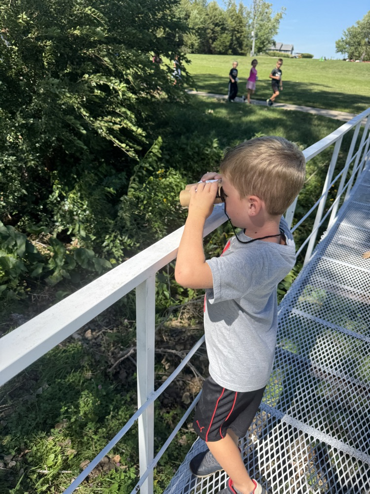 Kindergarteners using their binoculars to help them find living things at the park