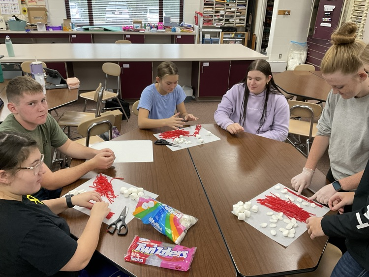 muscle fiber models