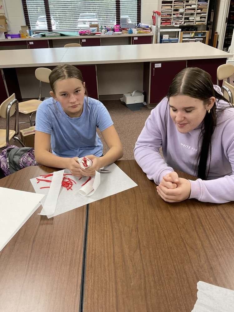 muscle fiber models