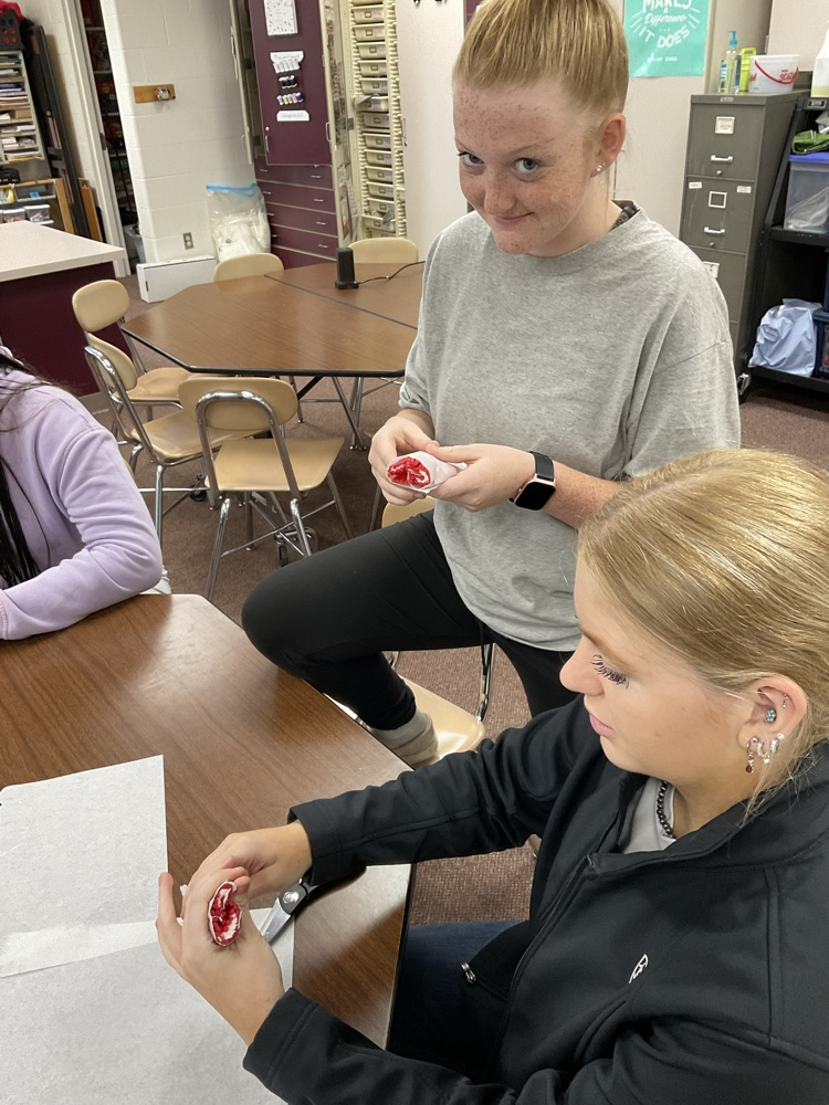 muscle fiber models