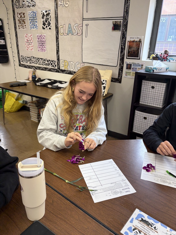 Students dissecting flowers.