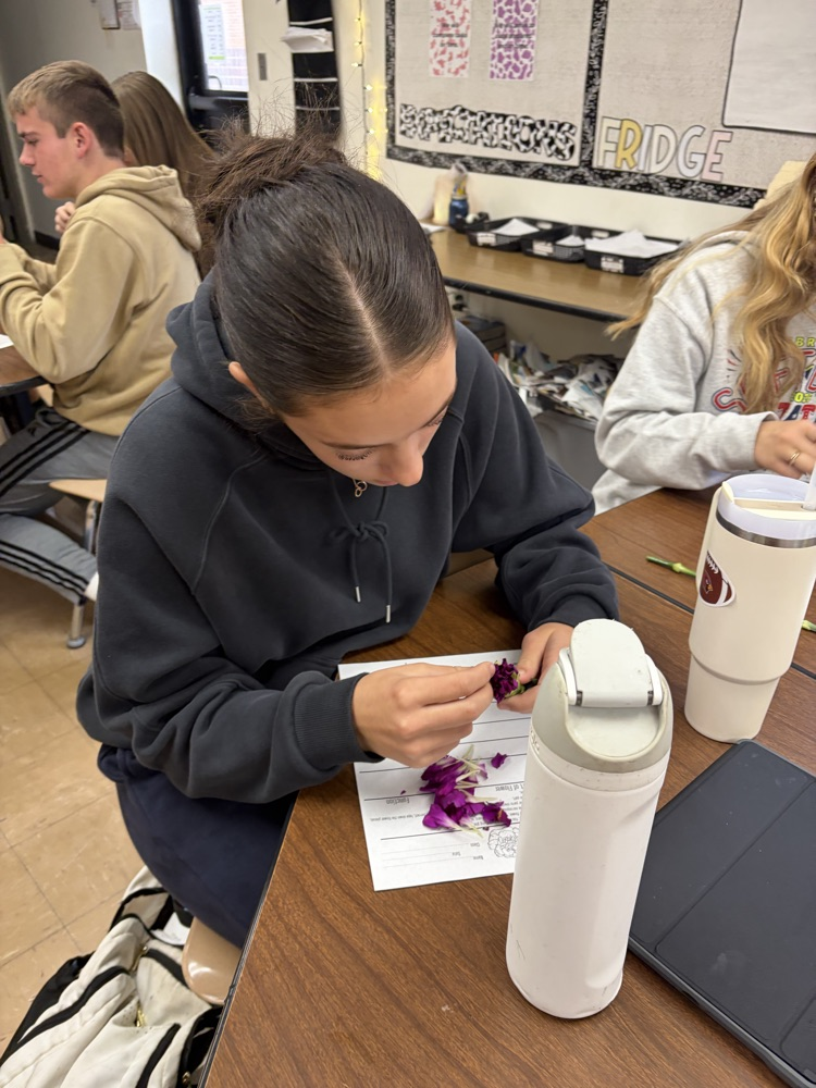 Students dissecting flowers.