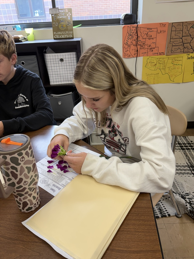 Students dissecting flowers.