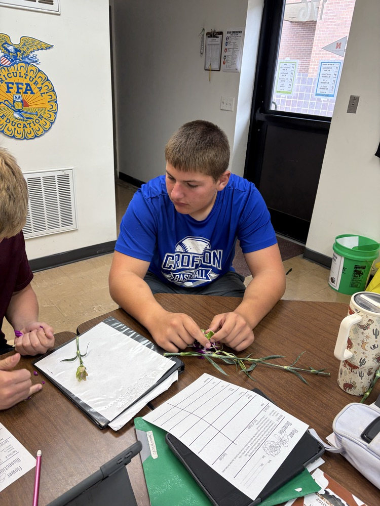 Students dissecting flowers.