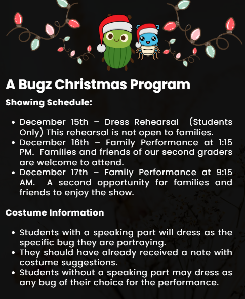Program Flyer
