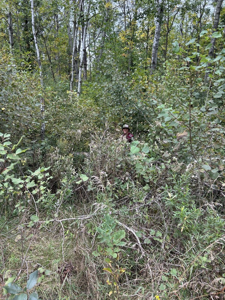 male student standing in the woods