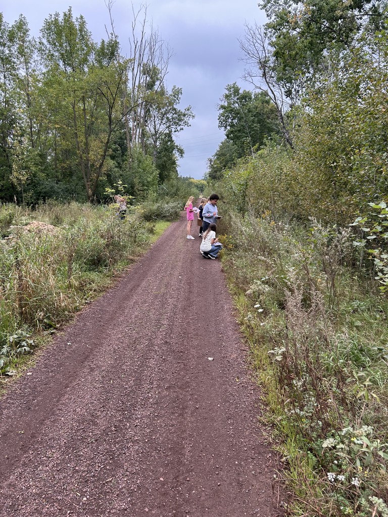 students looking into the woods on a trail