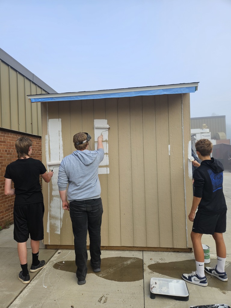 three males painting a shed white