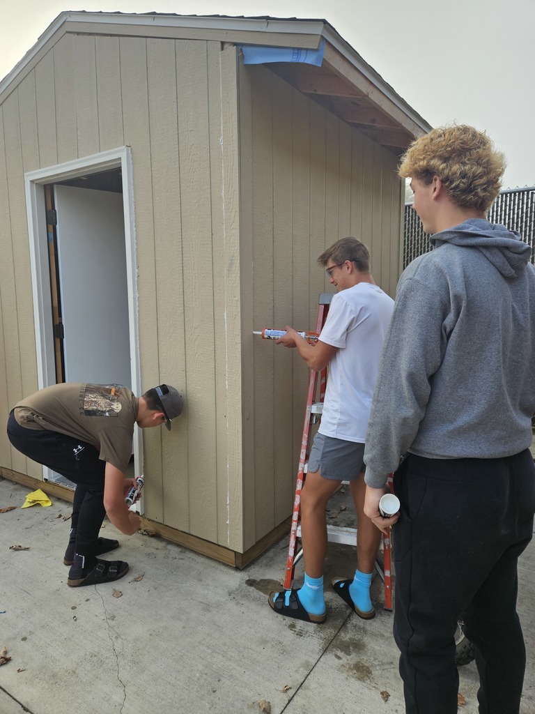 three males caulking a shed during class