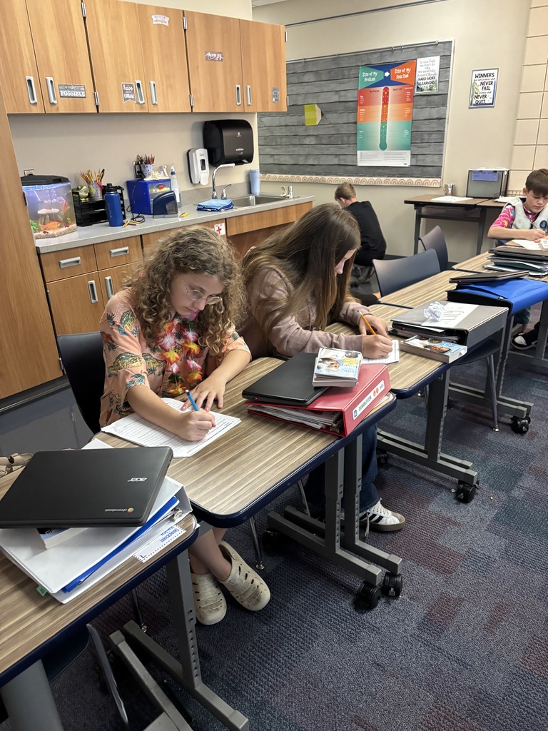 two student sitting at their desks working on their worksheets together