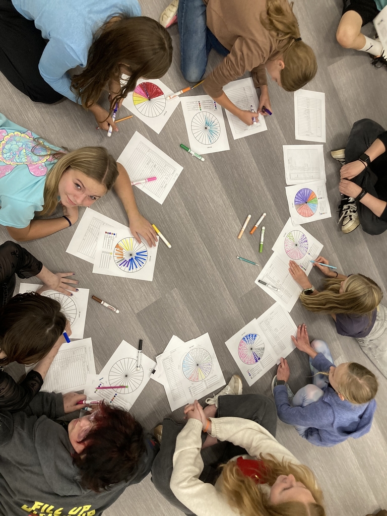 Link crew leaders and 7th graders charting during one of their lessons