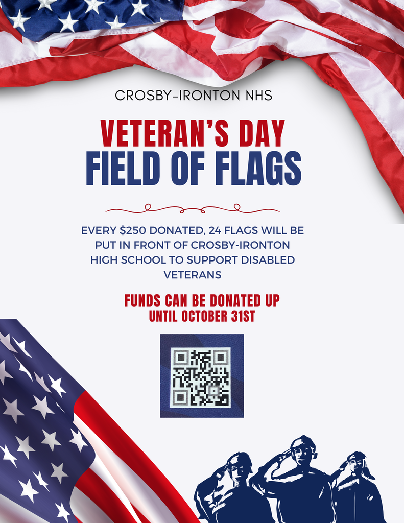 Field of Flags donation page
