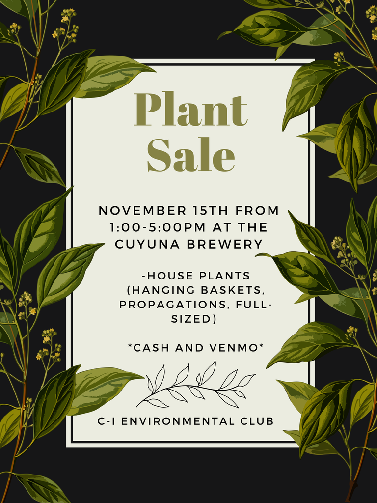 Plant sale flyer to benefit the C-I enviormental Club at the Cuyuna brewing Co. from 1-5 on Nov. 15