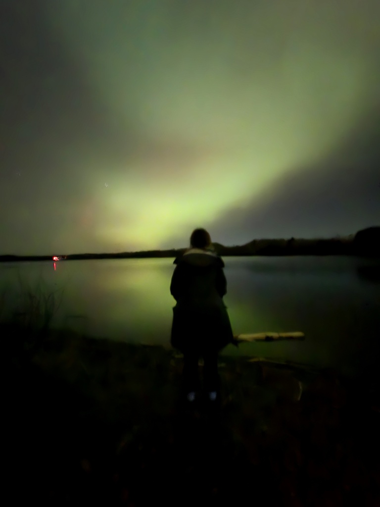 a student standing on the waters edge looking at the reflection of green and pink northern lights in the water and the night sky