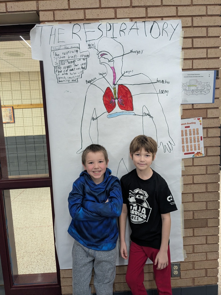 two male students who drew out the muscular system