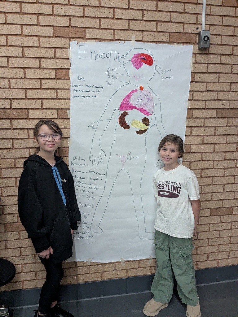 two student standing next to their drawn body system of the endocrine system