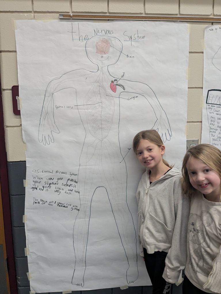 two female students standing by their drawing of the nervous system