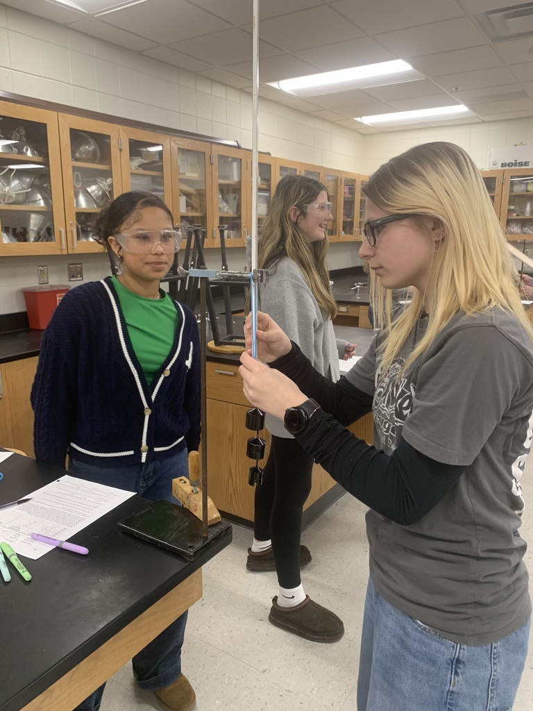 two students adding weights to rubberbands and taking measurements