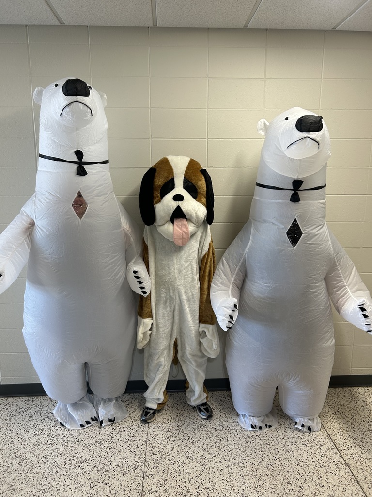 COol school polar plunge with two polar bears and Una