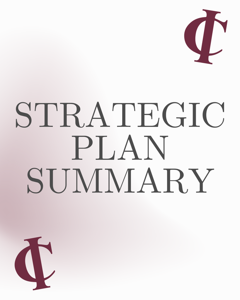 strategic plan summary