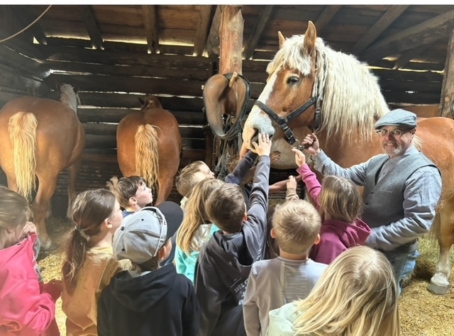 students petting a horse at the forest history center on their field trip