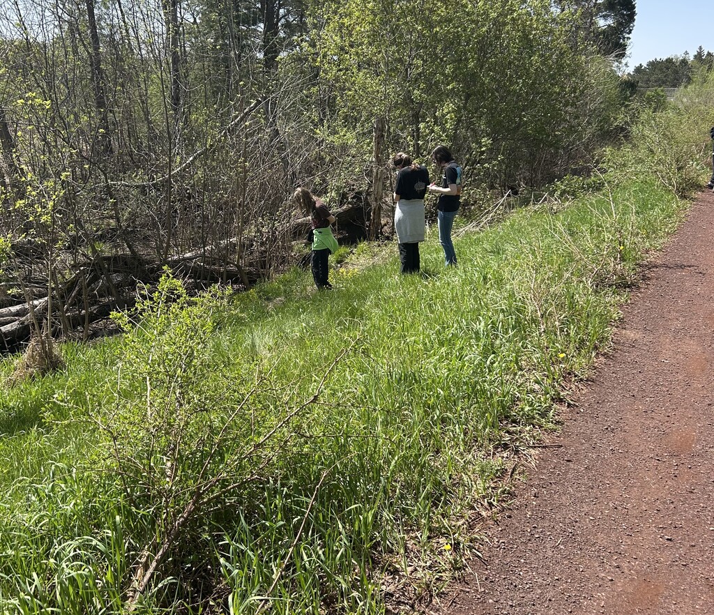 three students standing in some tall grass taking pictures