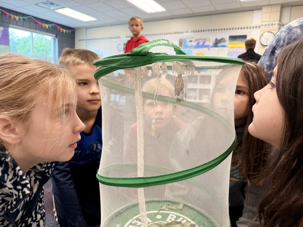 5 students watching a butterfly emerge from it's cocoon