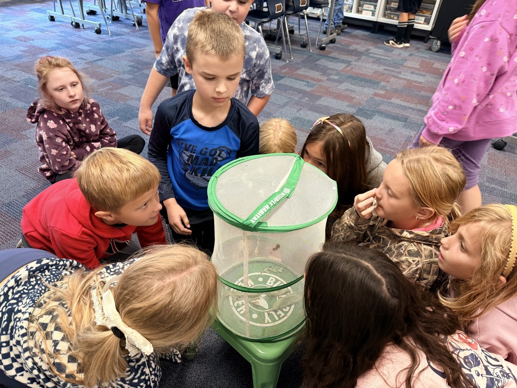 multiple students watching the butterfly emerge from the cocoon