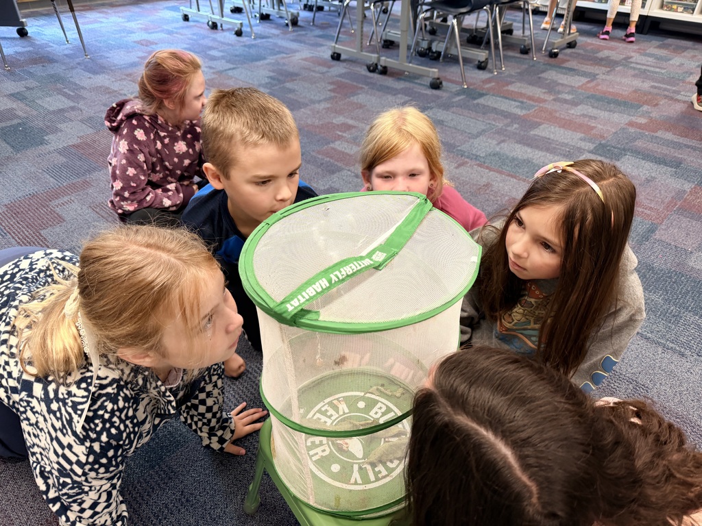 4 students sitting around a butterfly net watching it emerge