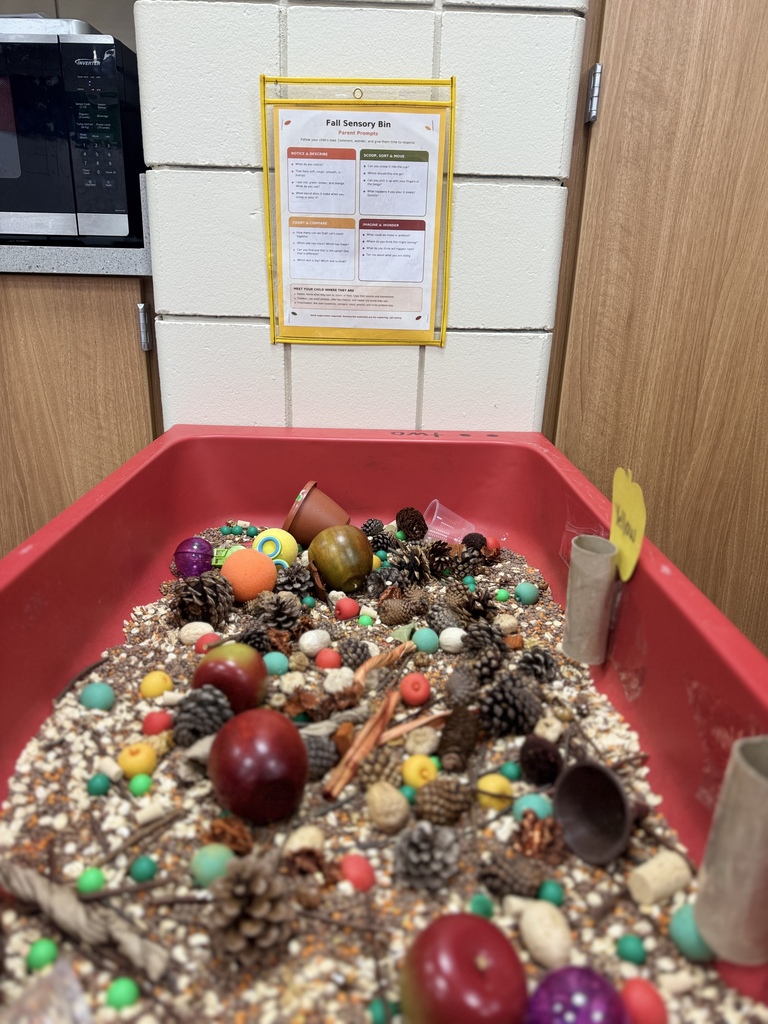 photo of the fall sensory bin in ECFE