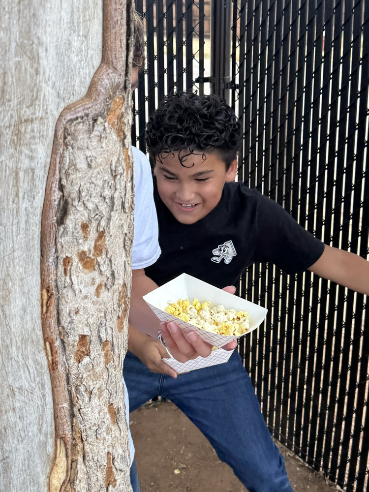 kids