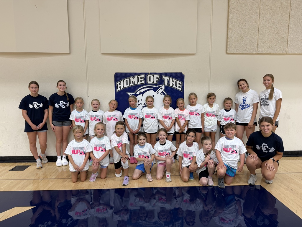 1-3 grade Volleyball Camp