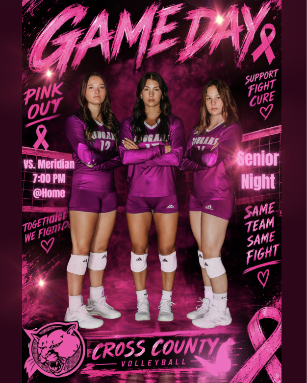 VB Pink out vs meridian 6 & 7