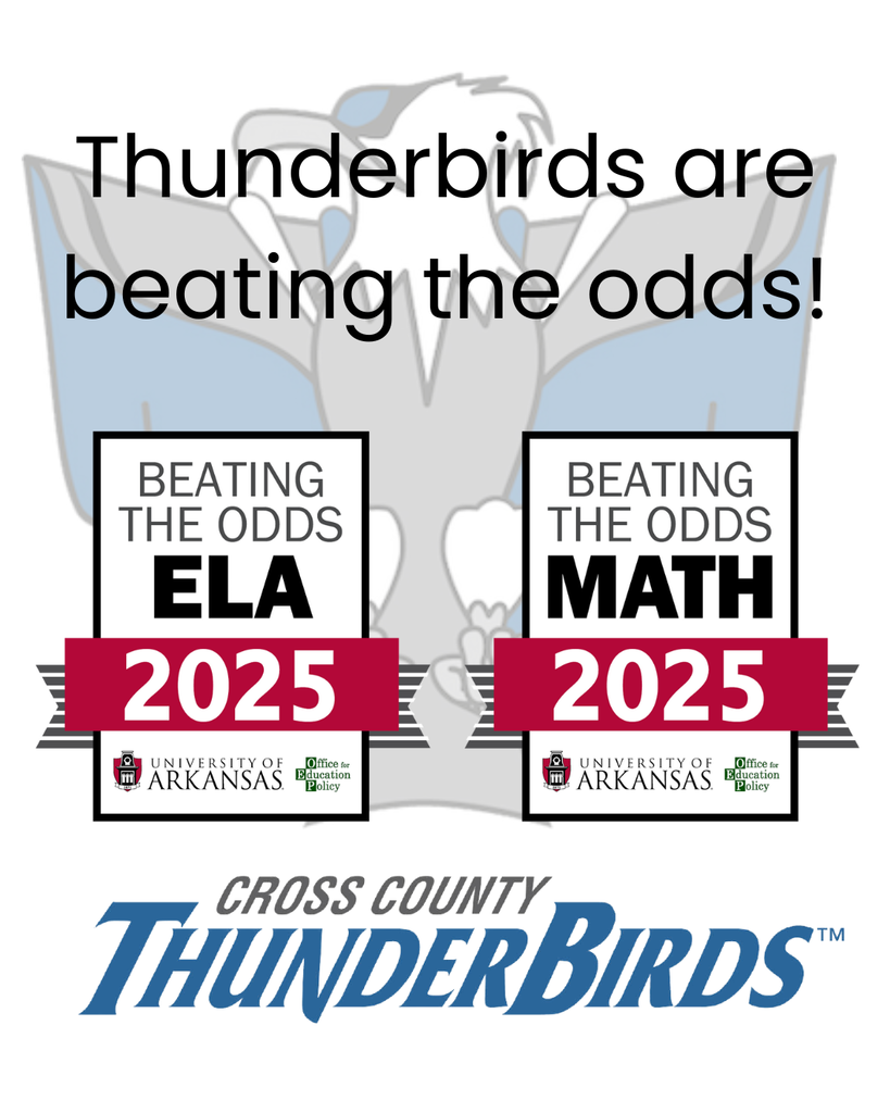 Thunderbirds are beating the odds
