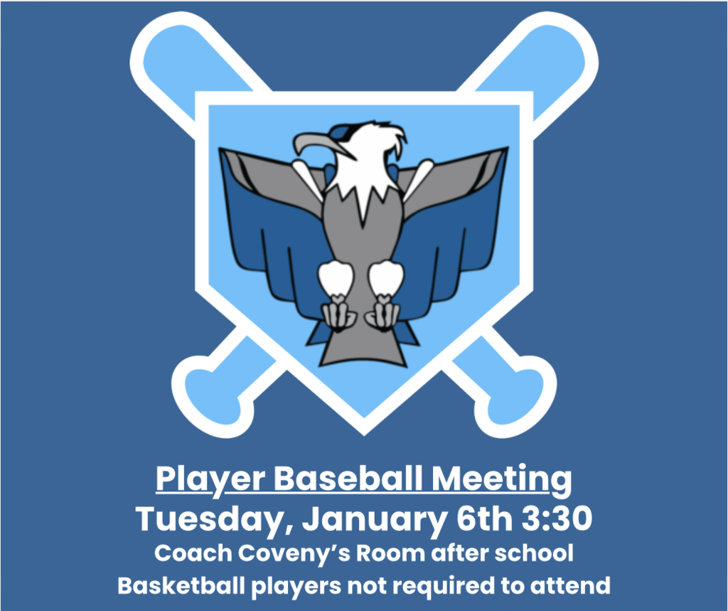 Player Baseball meeting