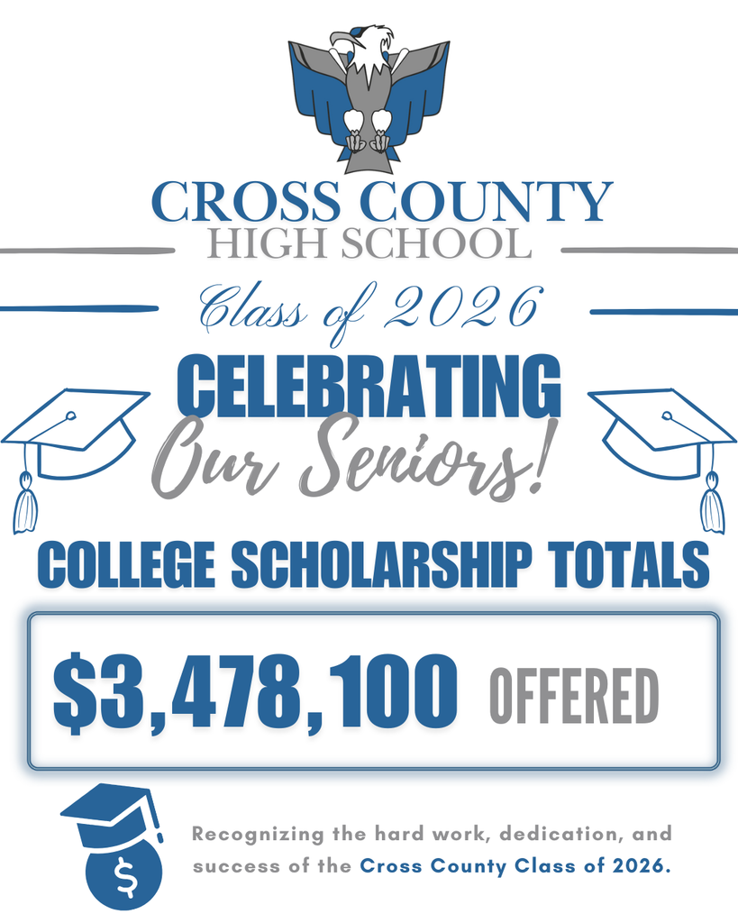 Scholarship total graphic