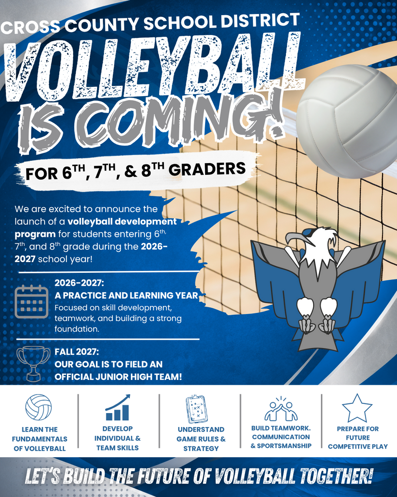 Volleyball graphic