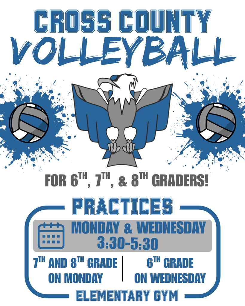 Volleyball graphic