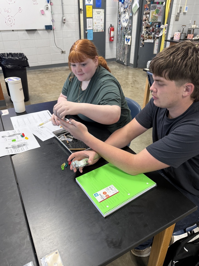 Students in classroom