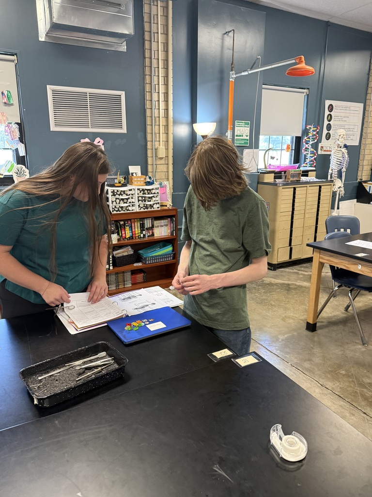 Students in classroom