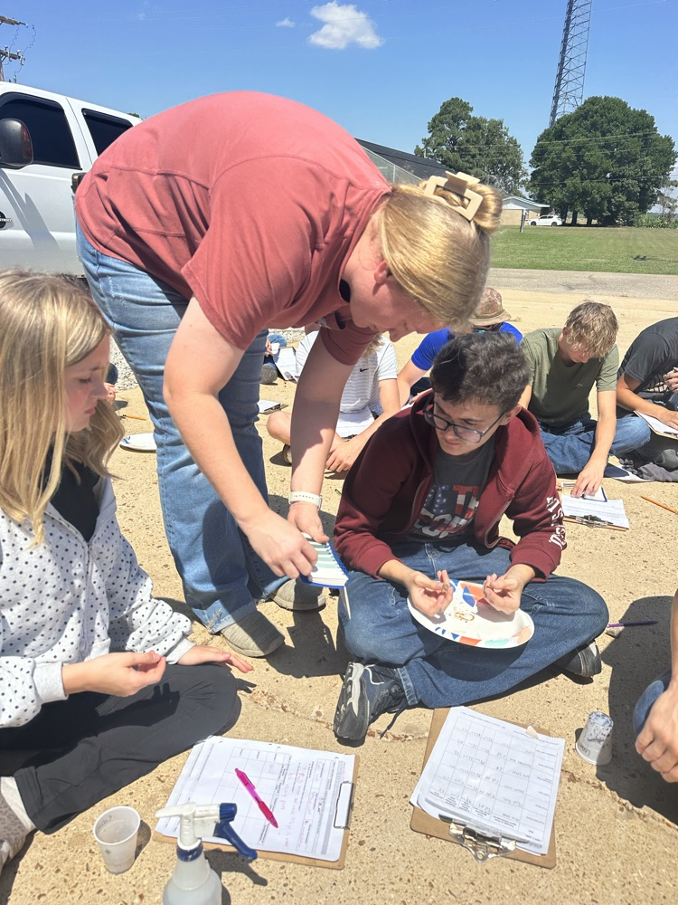 students looking at plants