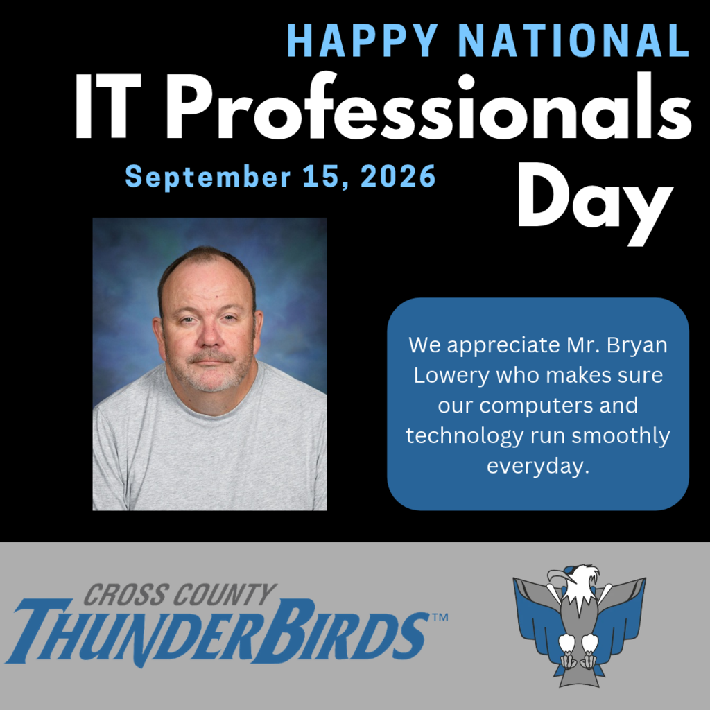 it professionals day graphic.