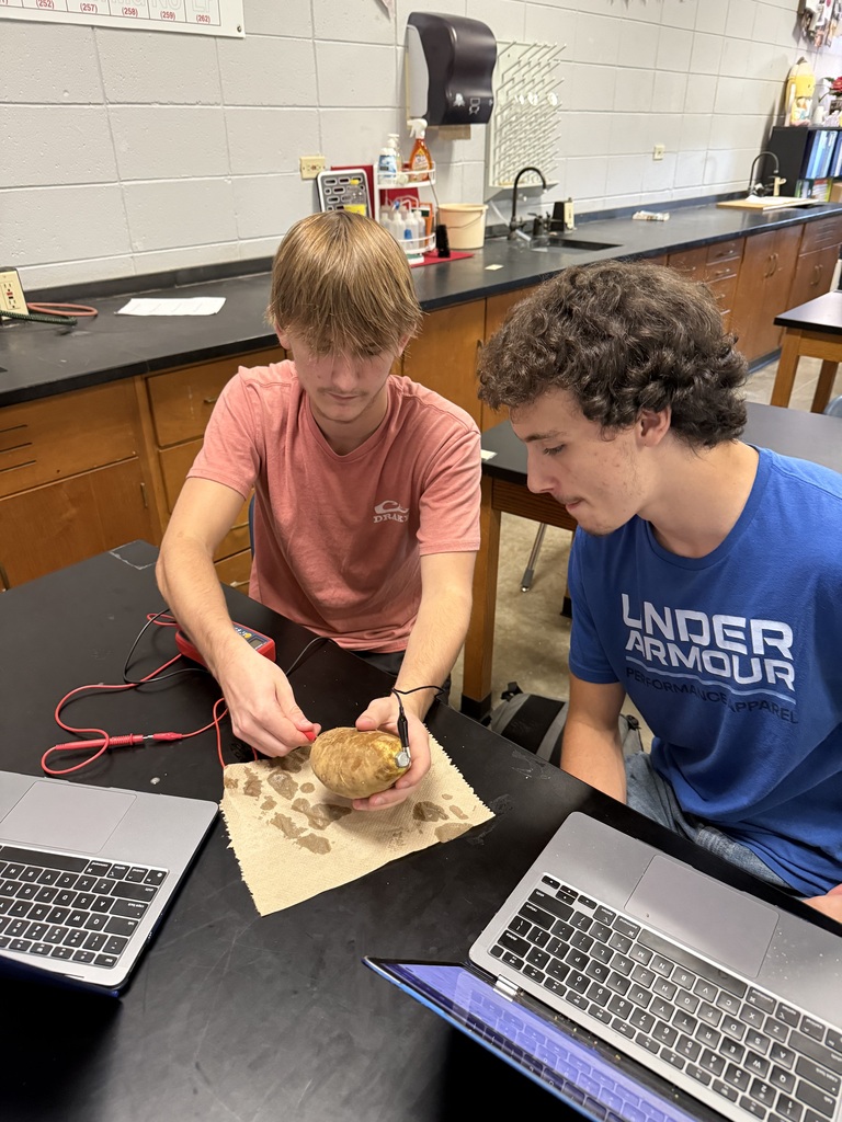 Students with potatoes