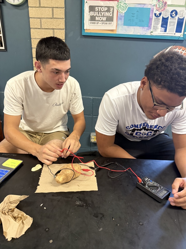 Students with potatoes