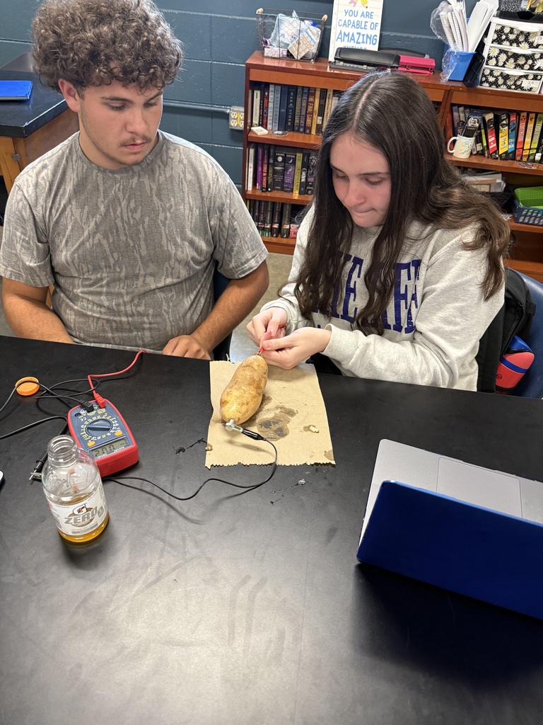 Students with potatoes
