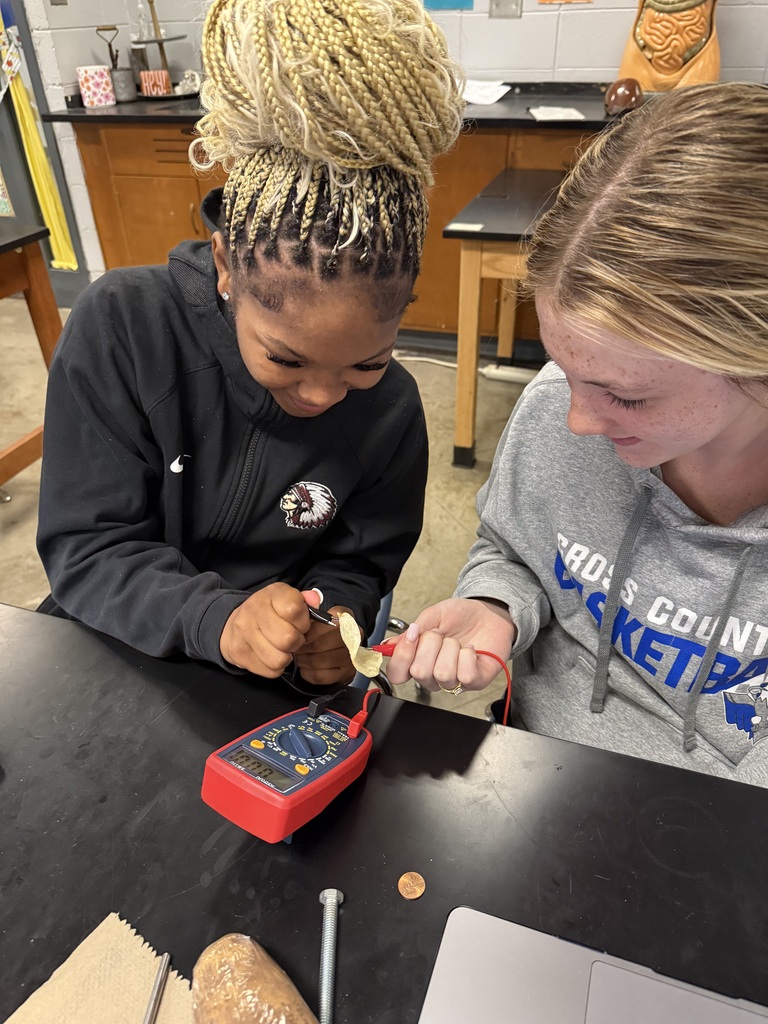 Students with potatoes